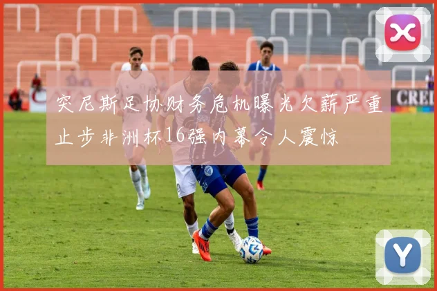 突尼斯足协财务危机曝光欠薪严重止步非洲杯16强内幕令人震惊